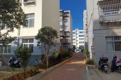 曲靖燃料廠一生活區(qū)居住體驗(yàn)與周邊房產(chǎn)市場(chǎng)觀察